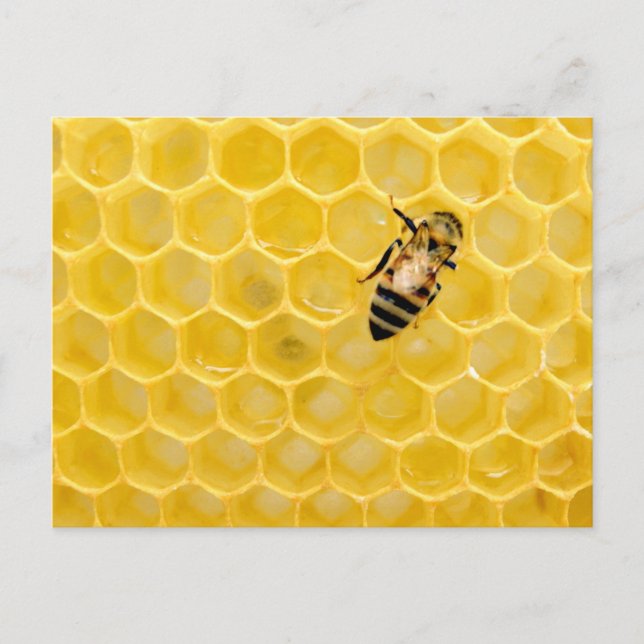 Cartes Pour Fêtes Annuelles abeille et nid d'abeille (Devant)