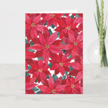 Abri hivernal des poinsettias