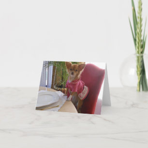 Cartes Pour Fêtes Annuelles Action de grâce avec adorable chihuahua
