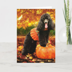 Cartes Pour Fêtes Annuelles Action de grâce d'automne - Gidget - Poodle