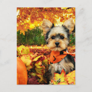 Cartes Pour Fêtes Annuelles Action de grâce d'automne - Max - Yorkie