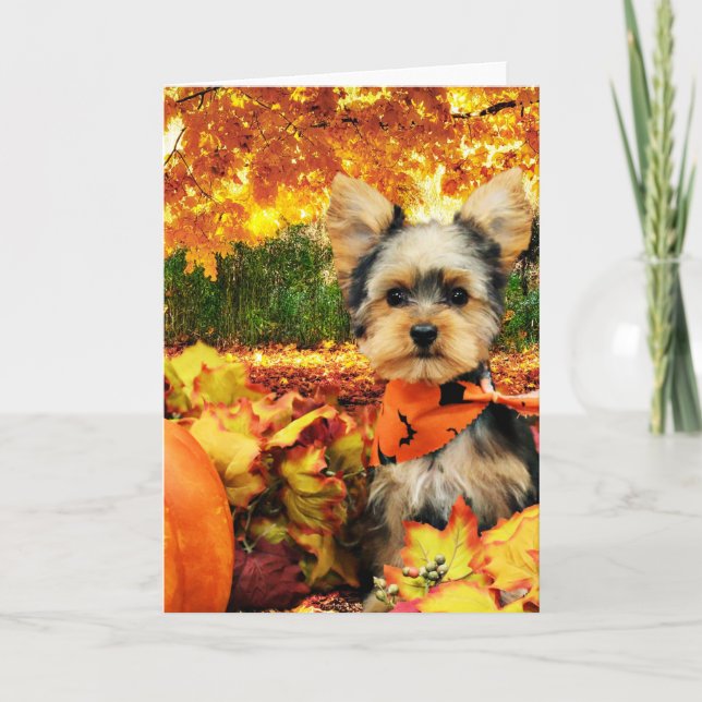 Cartes Pour Fêtes Annuelles Action de grâce d'automne - Max - Yorkie (Devant)
