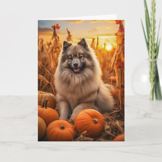 Cartes Pour Fêtes Annuelles Action de grâce Keeshond (Devant)
