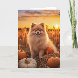 Cartes Pour Fêtes Annuelles Action de grâces en Poméranie