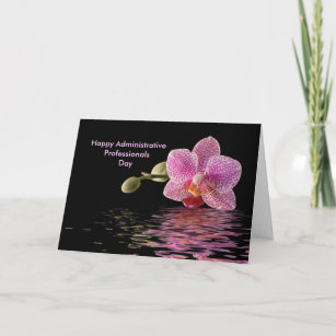 Cartes Pour Fêtes Annuelles Admin Pro Day Pink Orchid Réflexion