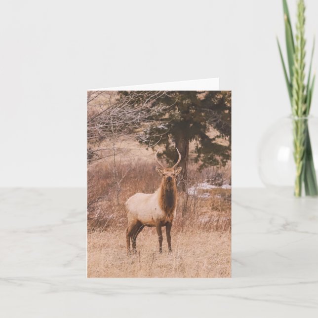 Cartes Pour Fêtes Annuelles Adolescence - 4" x 5.6" Notecard (Devant)