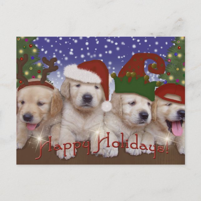 Cartes Pour Fêtes Annuelles adorable chiots du Labrador de Noël! (Devant)