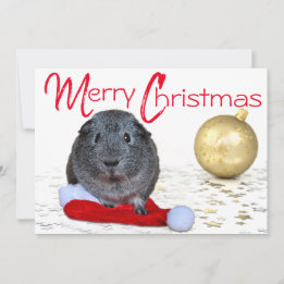 Cartes Pour Fêtes Annuelles Adorable Joyeux Noël Guinée Cochon Ornament or