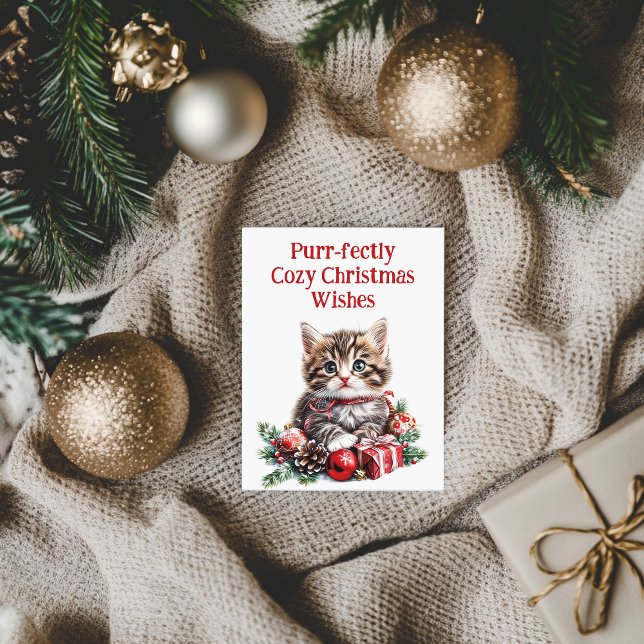 Cartes Pour Fêtes Annuelles Adorable Kitten (cute kitten christmas card)
