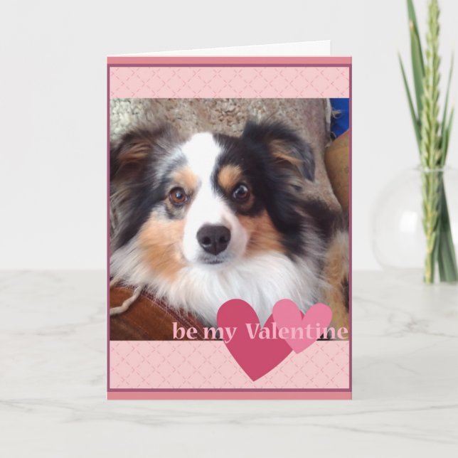 Cartes Pour Fêtes Annuelles adorable MinI Australian Shepherd Valentines Card (Devant)