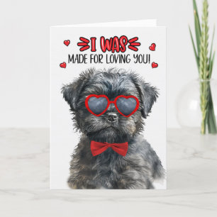 Cartes Pour Fêtes Annuelles Affenpinscher Chien fait pour vous aimer Valentine