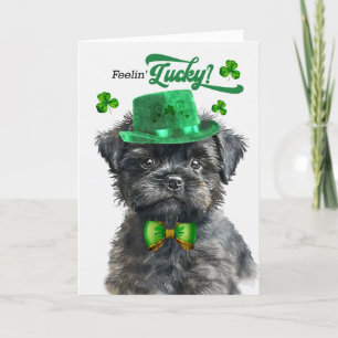 Cartes Pour Fêtes Annuelles Affenpinscher Chien Feelin' Lucky St Patrick's Day