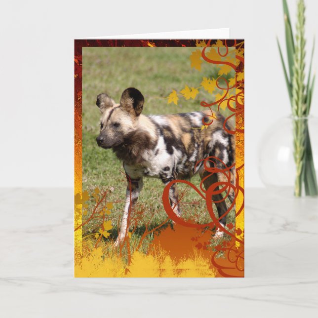 Cartes Pour Fêtes Annuelles african-wild-dog-016 (Devant)