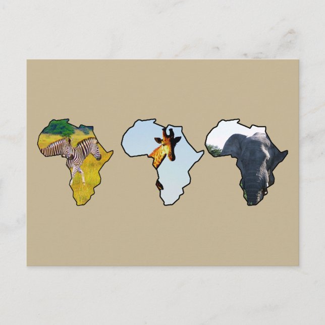Cartes Pour Fêtes Annuelles Afrique Faune Continent Trio Faune Photos (Devant)