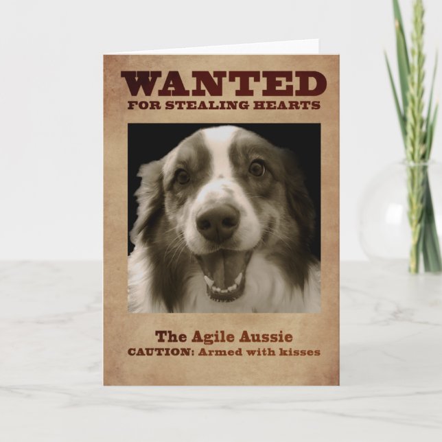 Cartes Pour Fêtes Annuelles Agile Aussie (Devant)