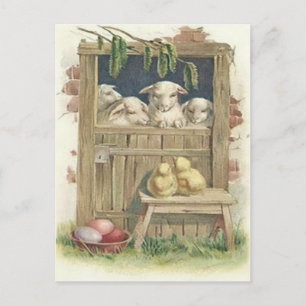 Cartes Pour Fêtes Annuelles Agneau de Pâques Grange Oeuf Peint Coloré