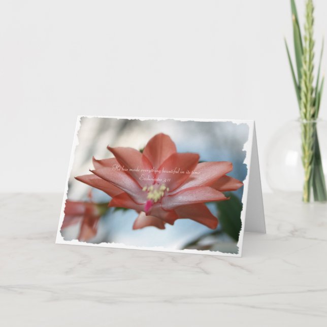 Cartes Pour Fêtes Annuelles Agnes the Christmas Cactus Ecclesiastes 3:11 (Devant)