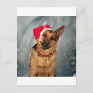 Cartes Pour Fêtes Annuelles Aide de Santas