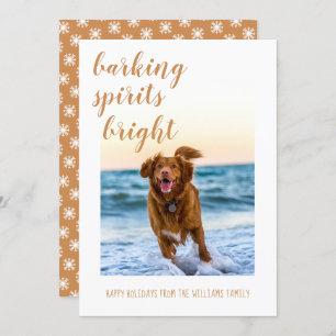 Cartes Pour Fêtes Annuelles Aiguille les esprits brillent votre chien photo va