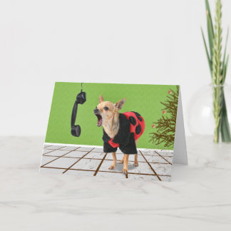 Cartes Pour Fêtes Annuelles aiguilles de pin