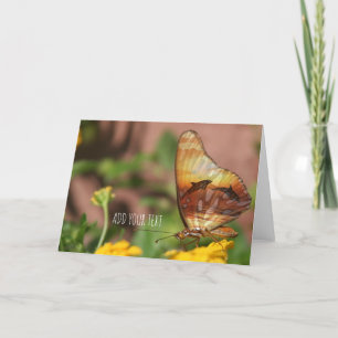 Cartes Pour Fêtes Annuelles Ailes papillons - Papillons et dauphins