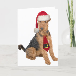 Cartes Pour Fêtes Annuelles Airedale Terrier dans le casquette de Père Noël