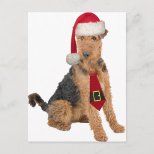Cartes Pour Fêtes Annuelles Airedale Terrier dans le casquette de Père Noël