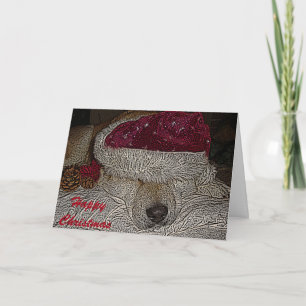 Cartes Pour Fêtes Annuelles Akita mignon dans le casquette de père Noël et le