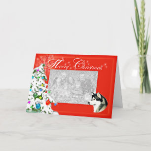 Cartes Pour Fêtes Annuelles Alaskan Malamute Christmas Photocard