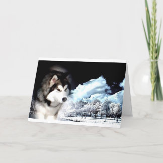 Cartes Pour Fêtes Annuelles Alaskan Malamute voeux de Noël