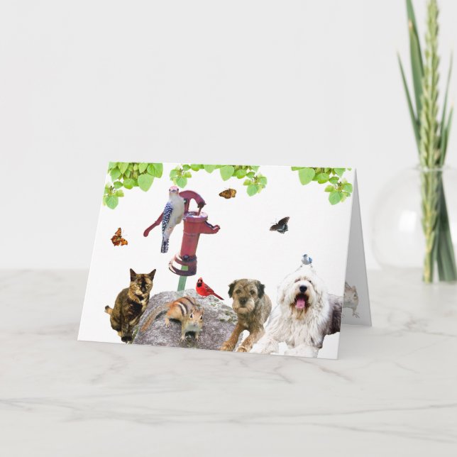 Cartes Pour Fêtes Annuelles Allez-y : tout le chaboodle-chaton : (Devant)