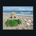 Cartes Pour Fêtes Annuelles Aloha de Hawaii Christmas Snowman Sandman<br><div class="desc">Aloha de Hawaii Joyeux Noël Snowman Sandman</div>