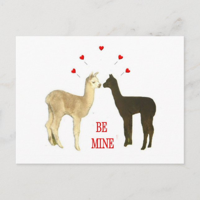 Cartes Pour Fêtes Annuelles Alpaca be mine Valentine (Devant)