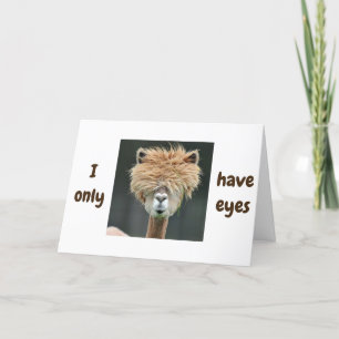 CARTES POUR FÊTES ANNUELLES ALPACA DIT ***JE N'AI QUE DES YEUX POUR VOUS***
