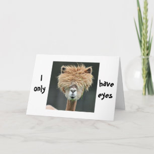 CARTES POUR FÊTES ANNUELLES ALPACA DIT "JE N'AI QUE DES YEUX POUR VOUS"