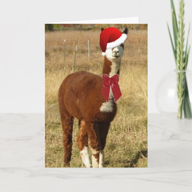 Cartes Pour Fêtes Annuelles Alpaca Père Noël (Devant)