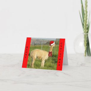 Cartes Pour Fêtes Annuelles Alpaca Père Noël