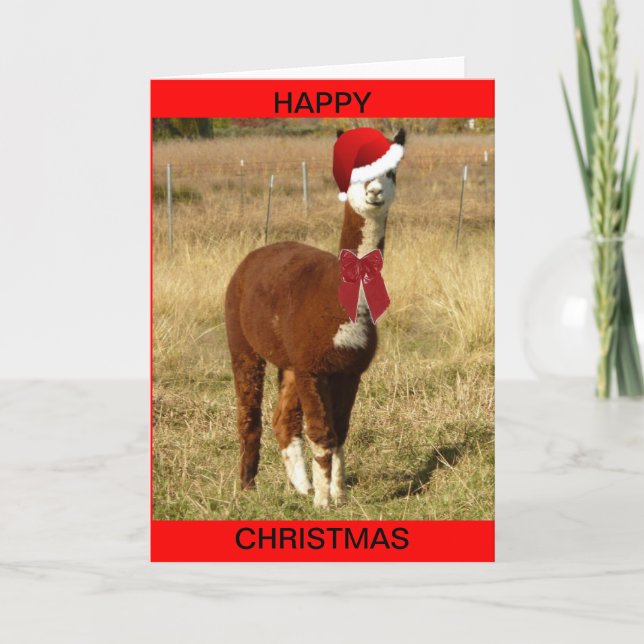 Cartes Pour Fêtes Annuelles Alpaca Père Noël (Devant)