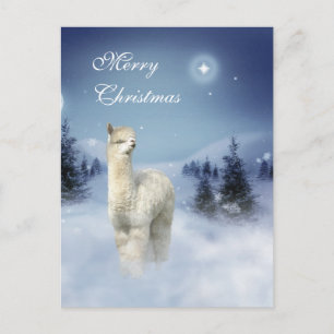 Cartes Pour Fêtes Annuelles Alpaca Winter Night Christmas