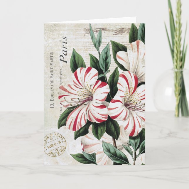 Cartes Pour Fêtes Annuelles amarylis français vintage (Devant)