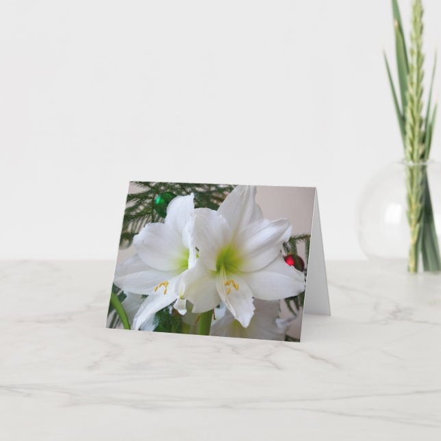 Cartes Pour Fêtes Annuelles Amaryllis blanc et sapin de Noël (Devant)