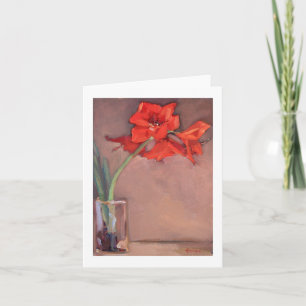 Cartes Pour Fêtes Annuelles Amaryllis de Noël