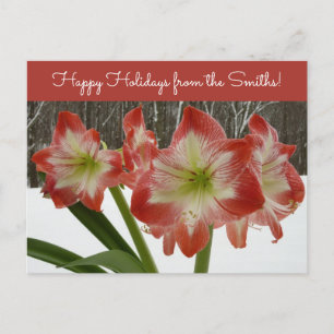 Cartes Pour Fêtes Annuelles Amaryllis en Fête Rouge Neige Hiver Floral
