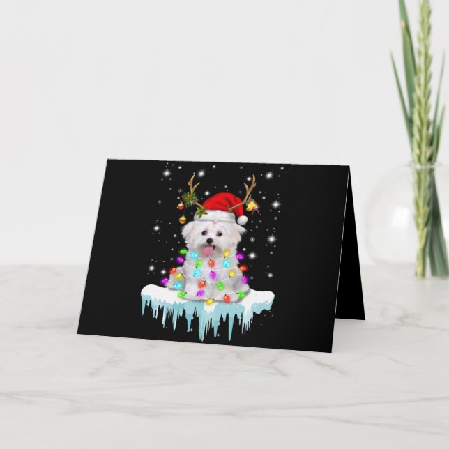 Cartes Pour Fêtes Annuelles Amateur de chien | Lumière de fée de Noël maltaise (Devant)