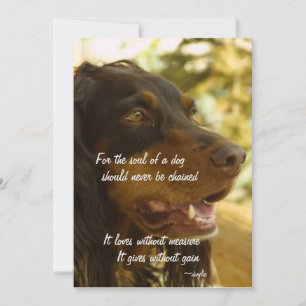 Cartes Pour Fêtes Annuelles Âme d'un chien