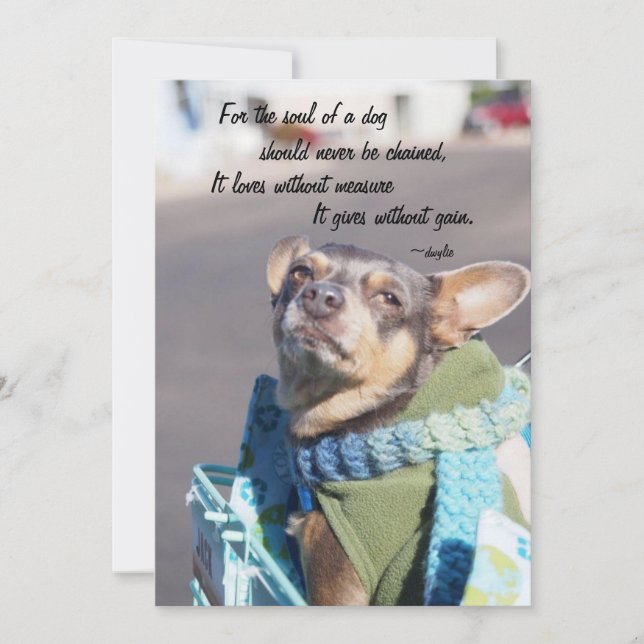 Cartes Pour Fêtes Annuelles Âme d'un chien - Chihuahua (Devant)