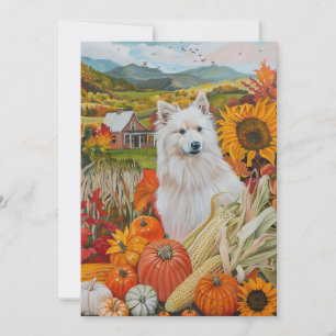 Cartes Pour Fêtes Annuelles American Eskimo Automne Harvest Thanksgiving Chien
