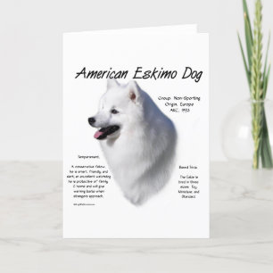 Cartes Pour Fêtes Annuelles American Eskimo Dog History; Tout sur Eskimo