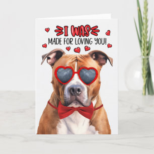Cartes Pour Fêtes Annuelles American Pit Bull Dog Vous Aimer Valentine