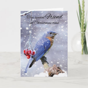 Cartes Pour Fêtes Annuelles Ami Bluebird En Vacances D'Hiver De Neige